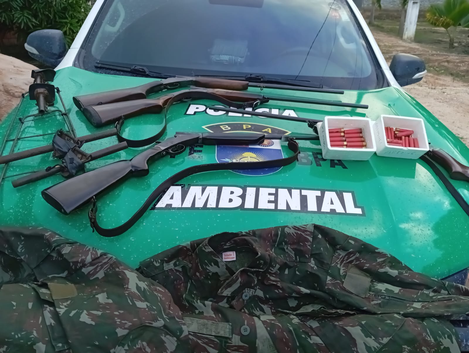 Operação ‘Caça Predatória’ Desmascara Rede de Tráfico de Aves Silvestres em Alagoas