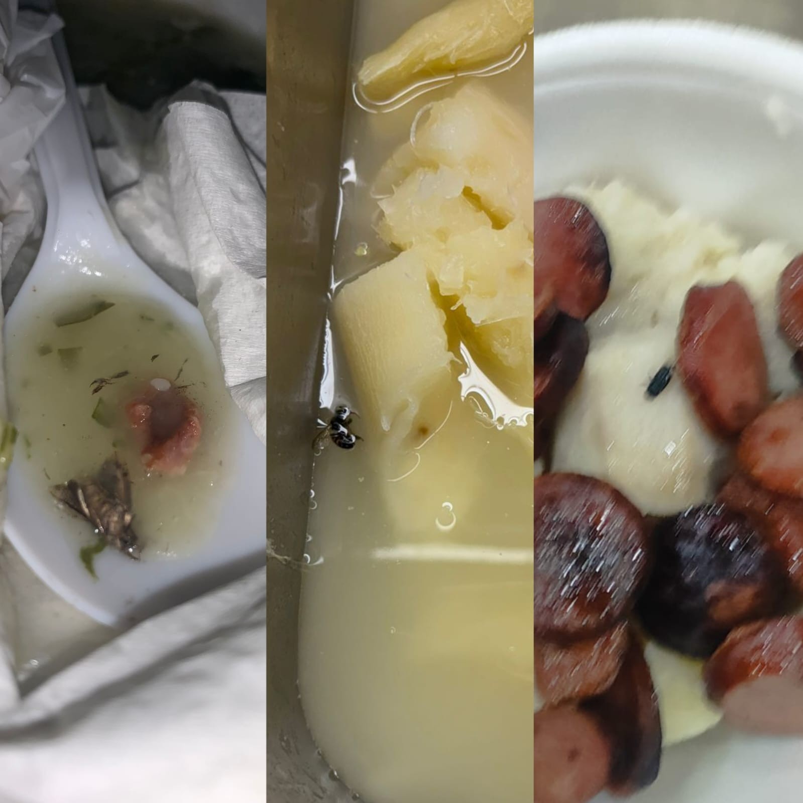 Escândalo Sanitário Atinge Restaurantes Universitários da Ufal: Estudantes Denunciam Insetos e Objetos Estranhos em Refeições