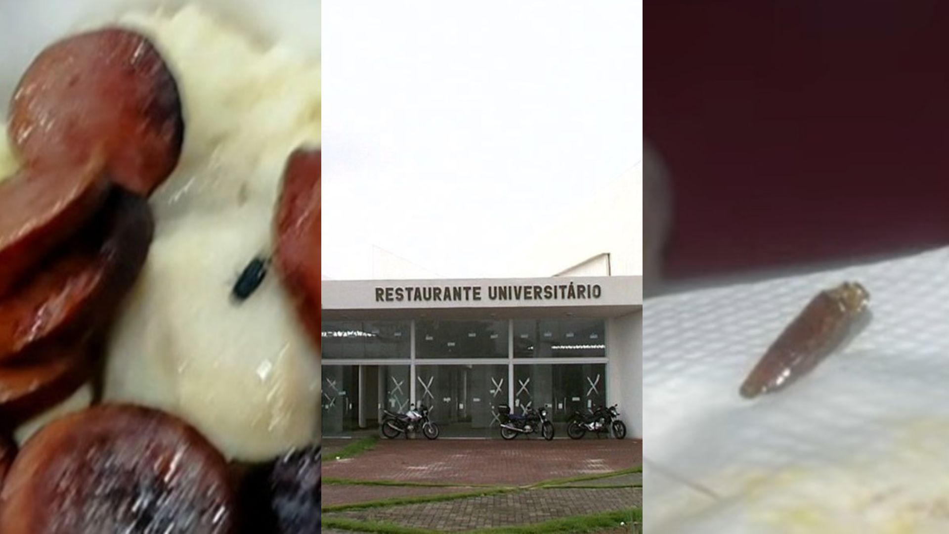 Crise Sanitária na Ufal: Estudantes Denunciam Vidro e Insetos em Refeições do Restaurante Universitário