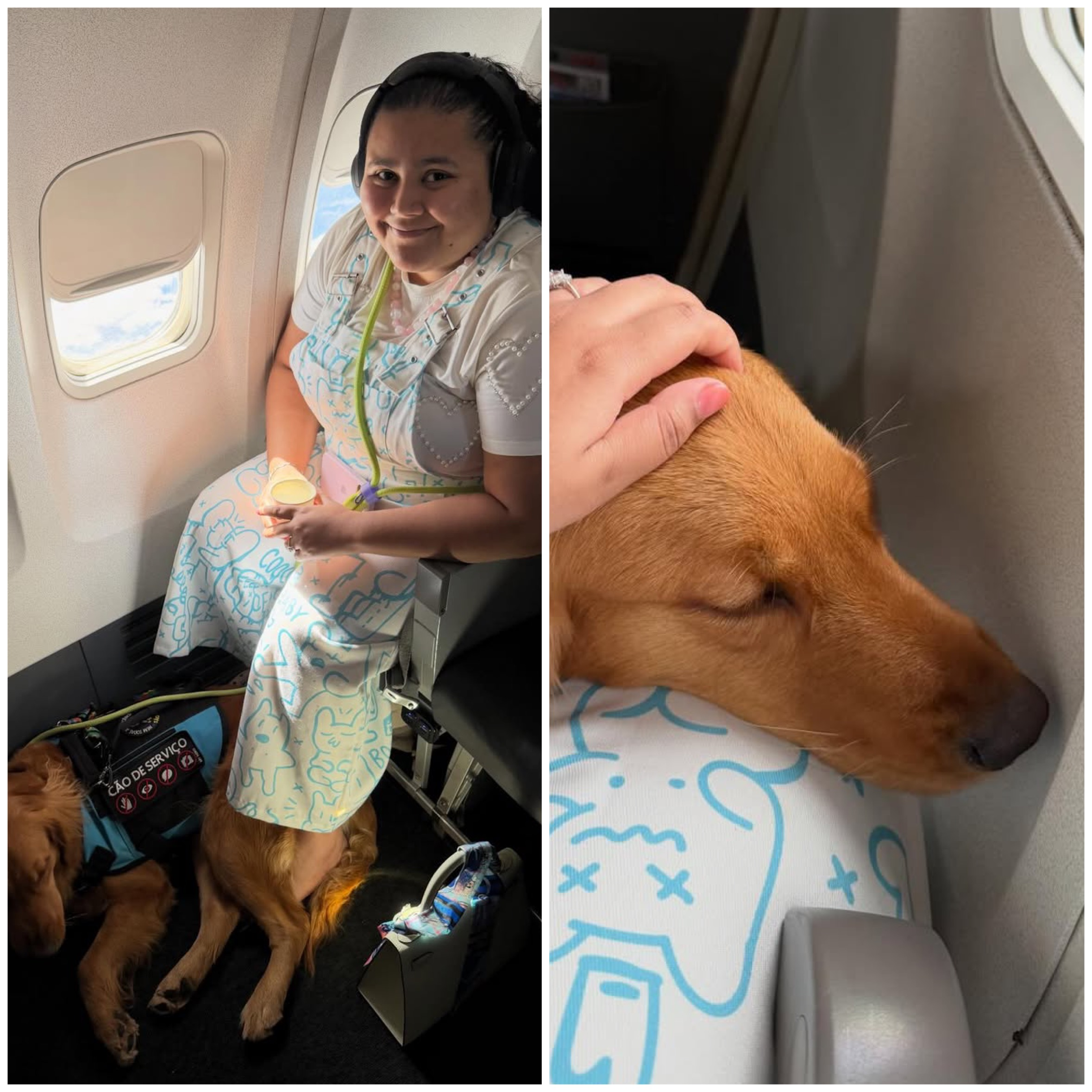 Direito de Ir e Vir em Xeque: Influenciadora Autista Impedida de Voar com Cão de Serviço Escancara Falhas na Inclusão